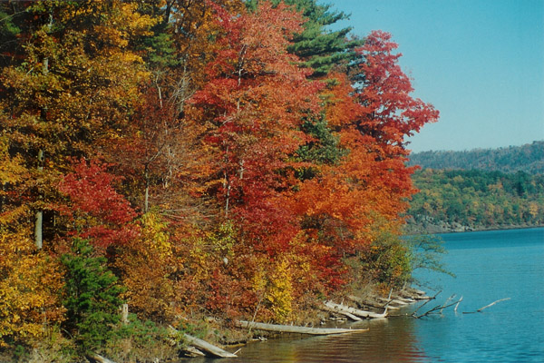 PA fall foliage