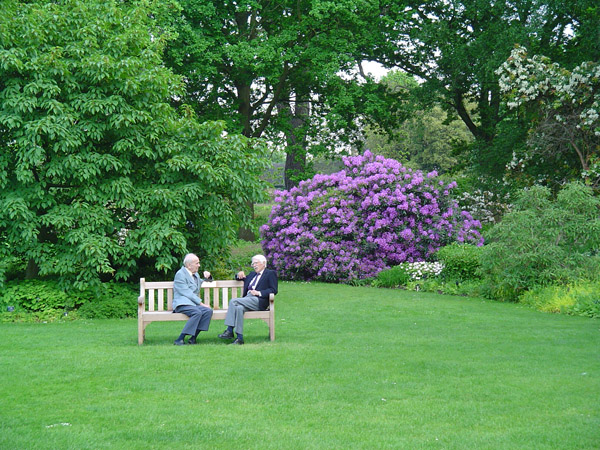 UK chaps in garden