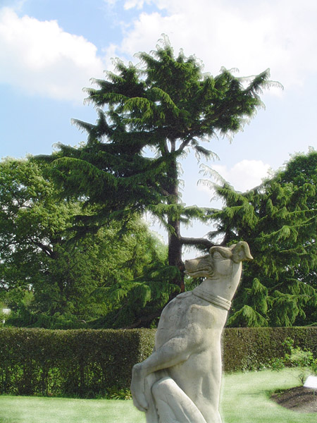UK dog statue