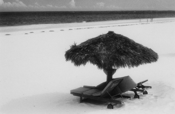 z bahamas beach umbrella
