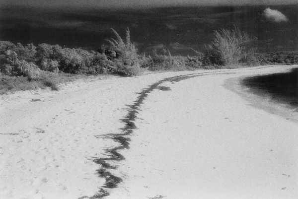 z bahamas beach