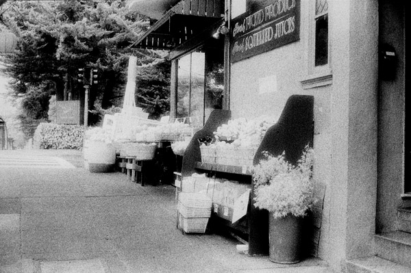 z san fran market